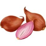 Shallot is a Vegetable in the Allium Family.