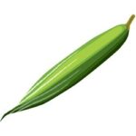 Snake Gourd is an Marrow Vegetable Variety.