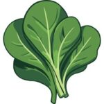 Spinach