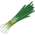 Spring Onion is a Vegetable in the Allium Family.