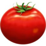 Tomato