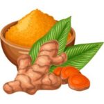 Turmeric is an Root Vegetable