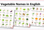 69 Vegetable Names in English with Images and PDF