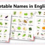 69 Vegetable Names in English with Images and PDF