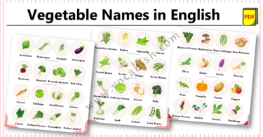 69 Vegetable Names in English with Images and PDF