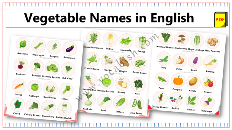 69 Vegetable Names in English with Images and PDF