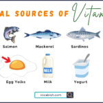 Natural Sources of Vitamin D in English with PDF