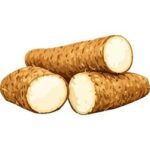 Yam is an Root Vegetable