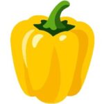 Yellow Bell Pepper