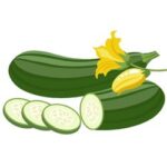 Zucchini _ Courgette
