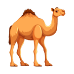 Camel as a Wild Animal