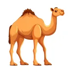 Camel as a Wild Animal