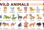 A comprehensive list of 30 plus wild animal names with pictures for English students and biology learners.