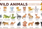A comprehensive list of 30 plus wild animal names with pictures for English students and biology learners.