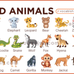 A comprehensive list of 30 plus wild animal names with pictures for English students and biology learners.