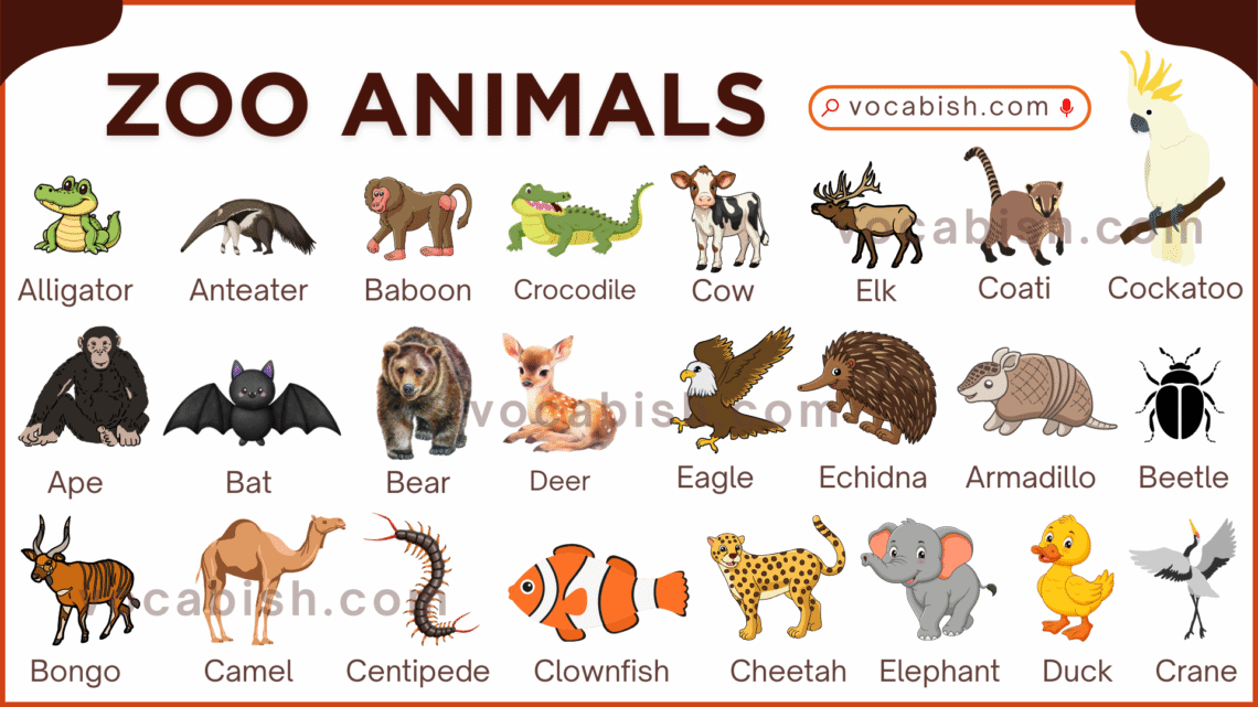 List of Zoo Animals Name with Their Pictures