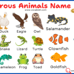 Oviparous Animals Name with Pictures