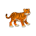 Tiger as a Wild Animal