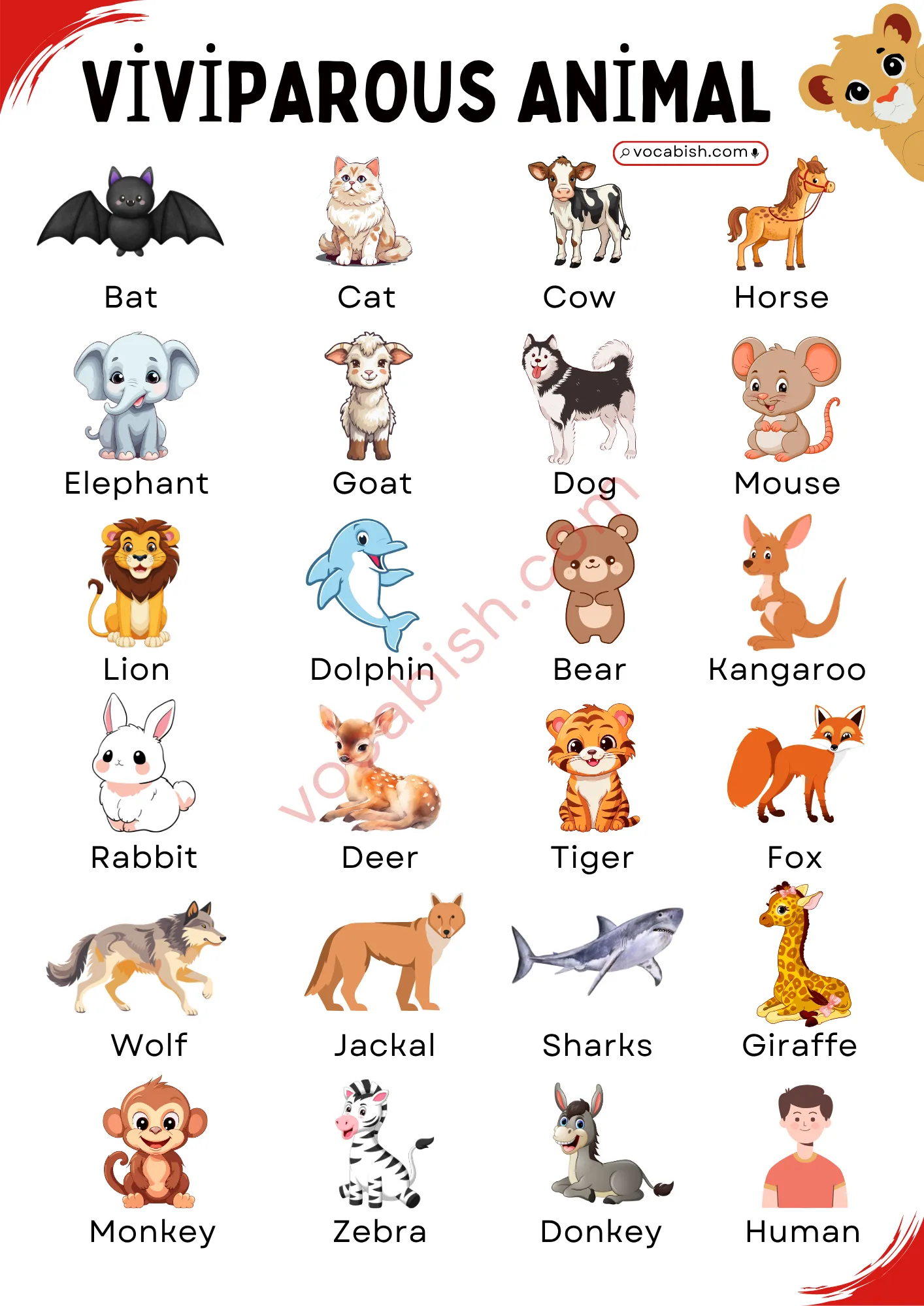 Viviparous Animal Names with Pictures