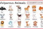 30+ viviparous animals for kids and students with pictures to learn about animal biology.