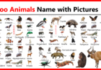 Zoo Animal Names In English with Pictures