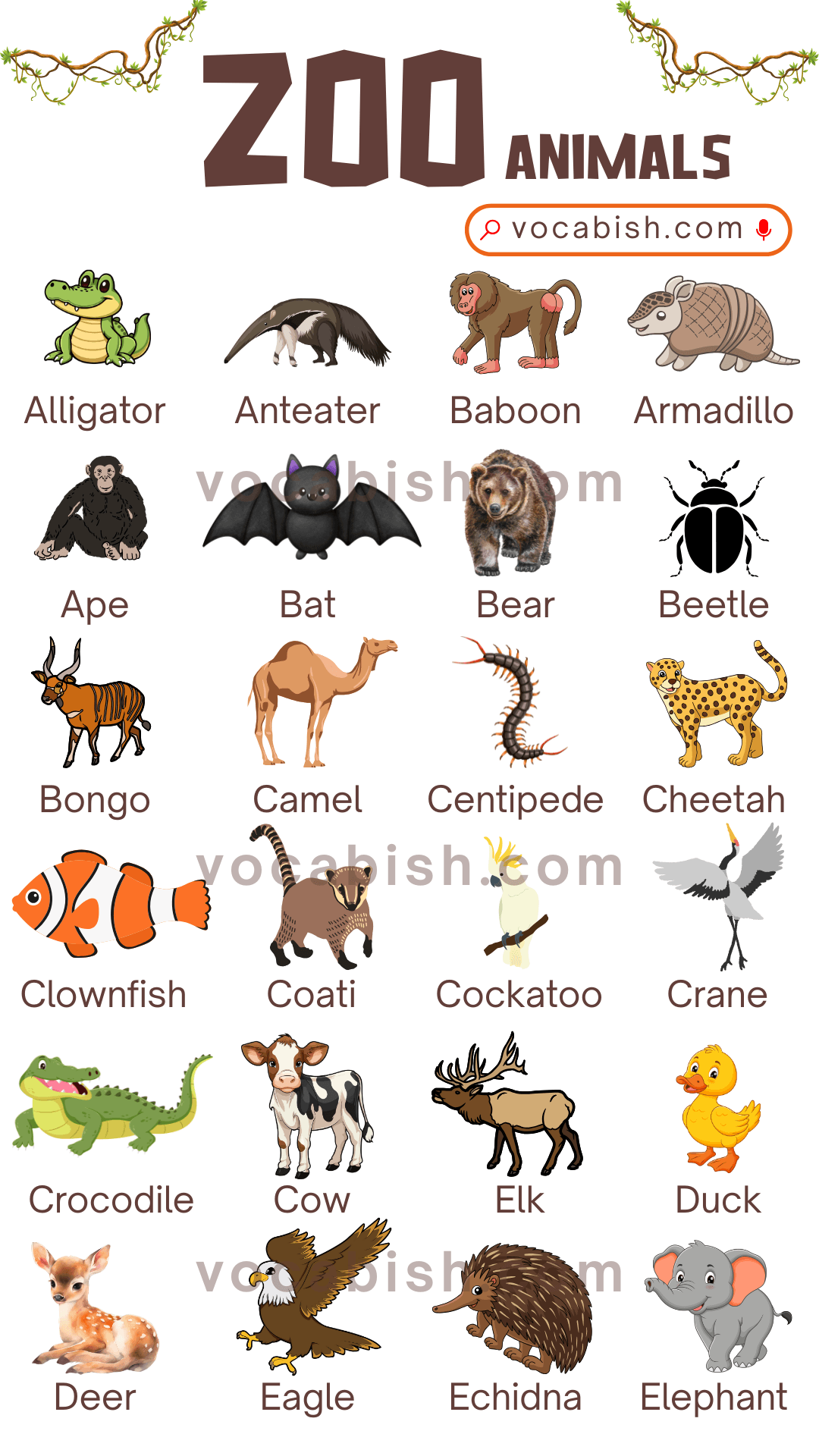40 Zoo Animals Names In English With Their Pictures Vocabish