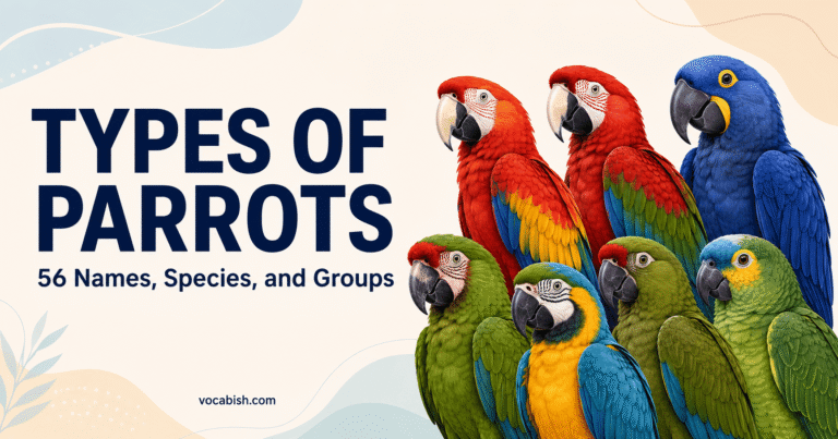 56 Types of Parrots with Their Names, Groups, and Pictures