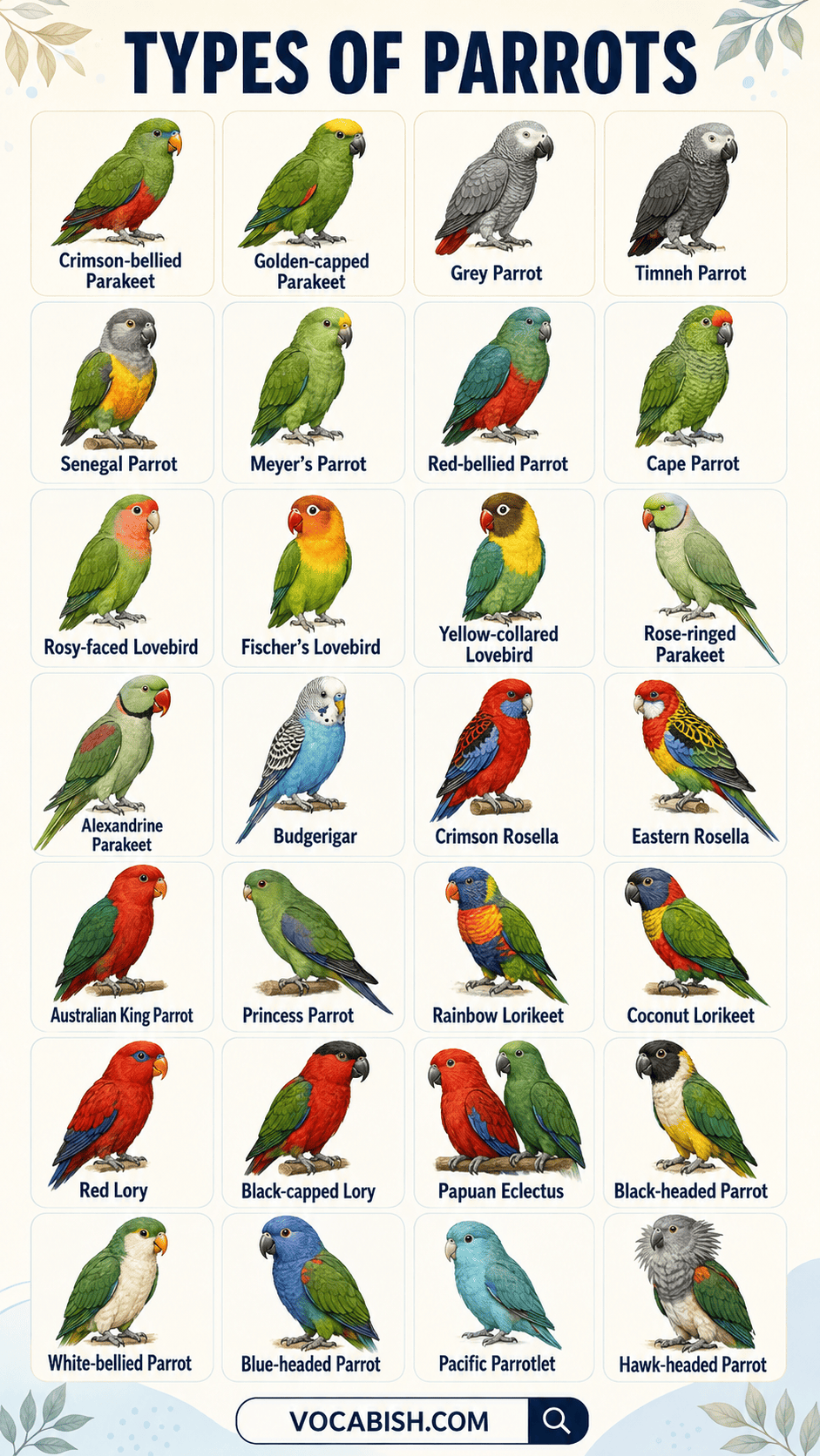 Different Types of Parrots and Pictures