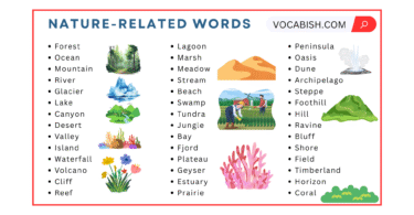 50 Nature Related Vocabulary Words in English