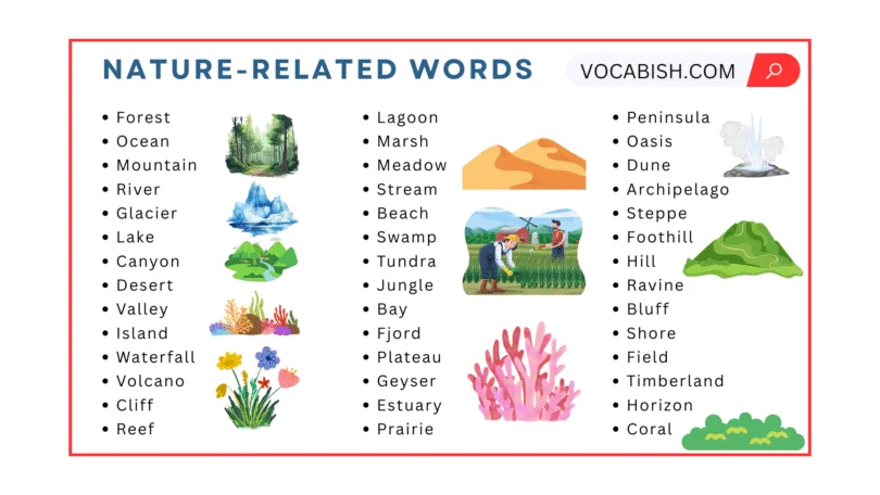 50 Nature Related Vocabulary Words in English