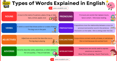 Types of Words Explained in English with Examples