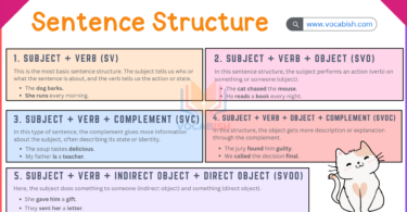 Basic Sentence Structure in English