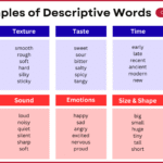 250+ Descriptive Words Examples with Types