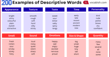 Descriptive Words Examples with Types
