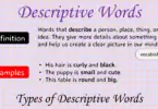 Descriptive Words: Definition, Types, and Examples