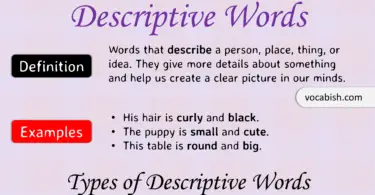 Descriptive Words: Definition, Types, and Examples