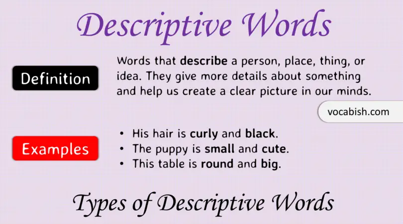 Descriptive Words: Definition, Types, and Examples