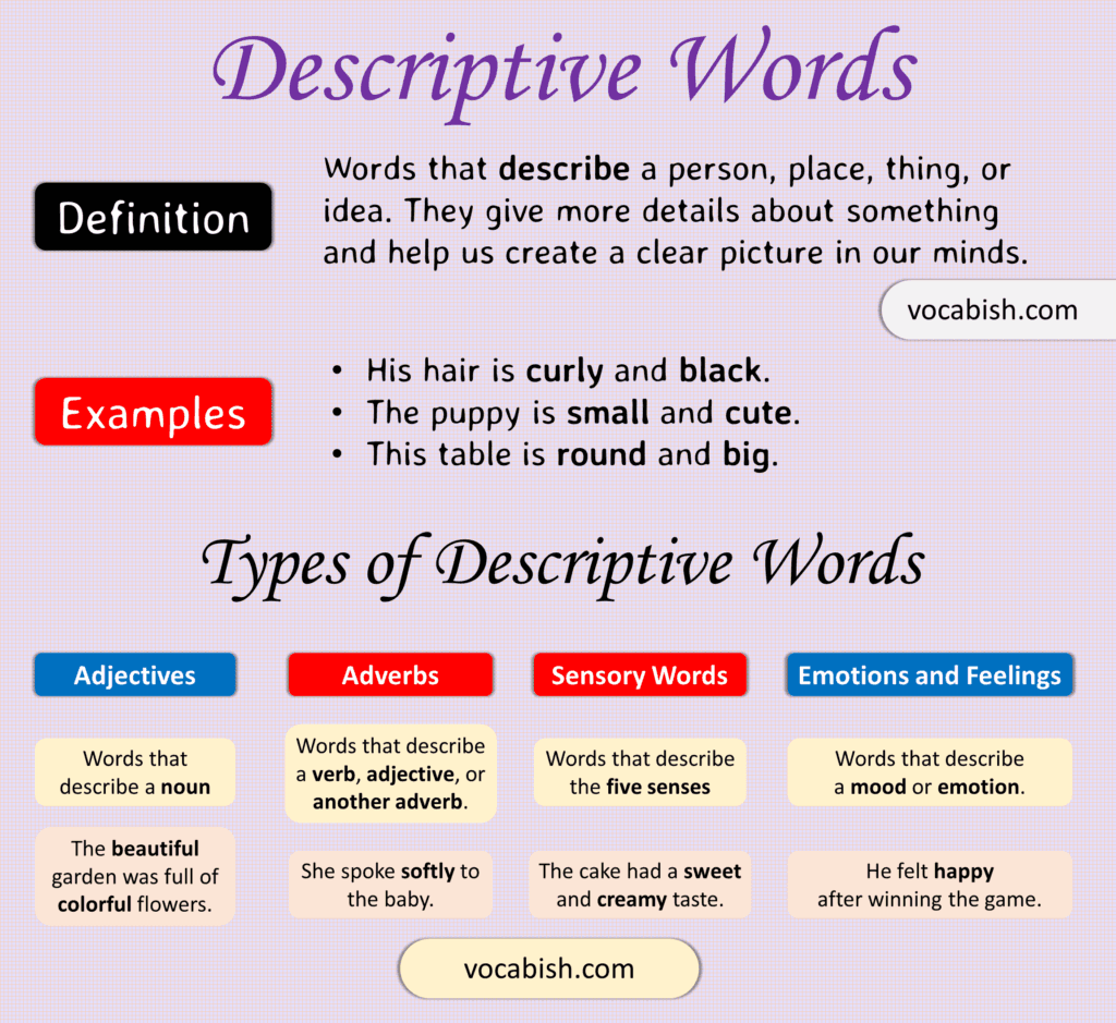Descriptive Words: Definition, Types, and Examples