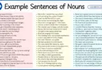 100 Example Sentences of Nouns