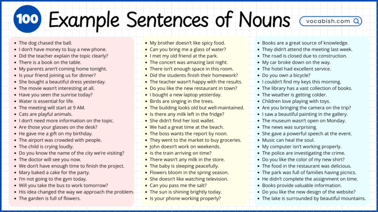 100 Examples of Nouns in Sentences with Pictures