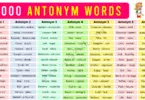 1000 Antonym Words List in English