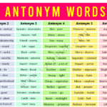 1000 Antonym Words List in English