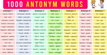 1000 Antonym Words List in English