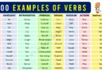 Examples of All Types of Verbs in English