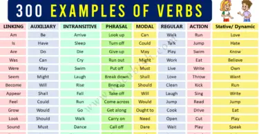 Examples of All Types of Verbs in English