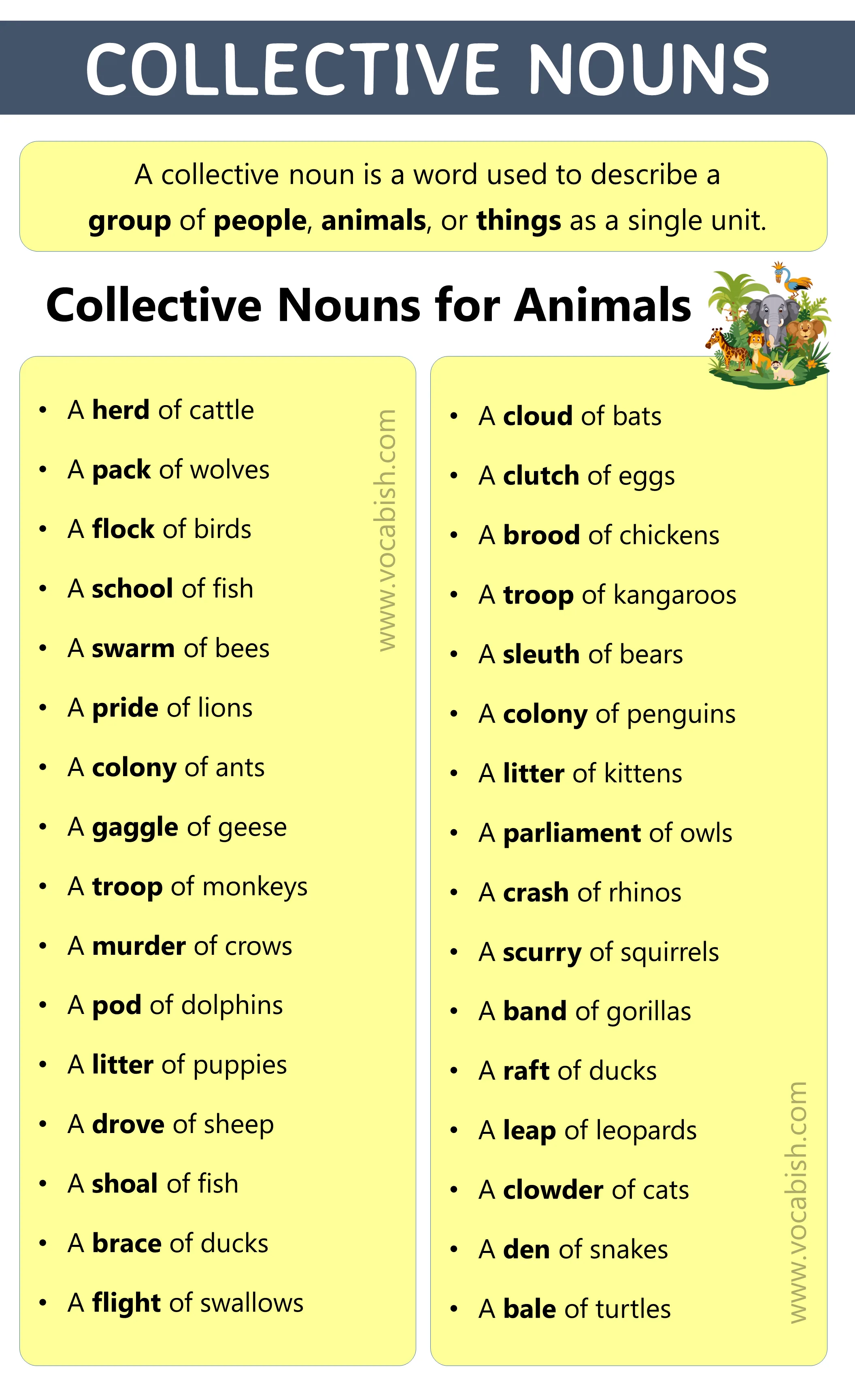 Collective Nouns for Animals List