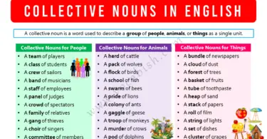 Collective Nouns in English with 100 Examples