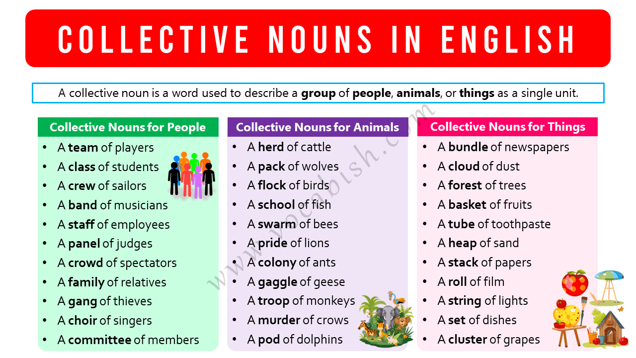 Collective Nouns in English with 100 Examples