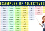 Adjectives Examples in English