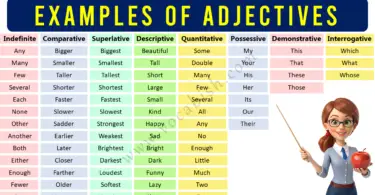 Adjectives Examples in English